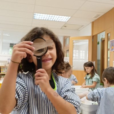 Observació (1)